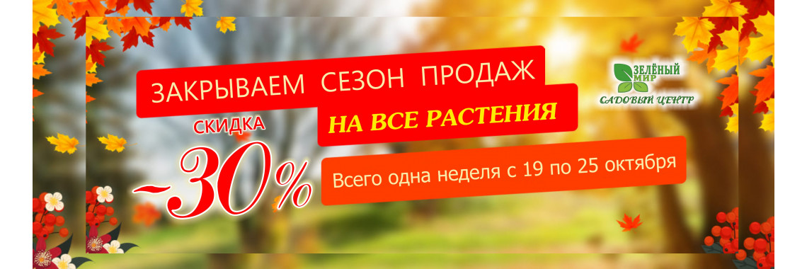 Осенний ценопад